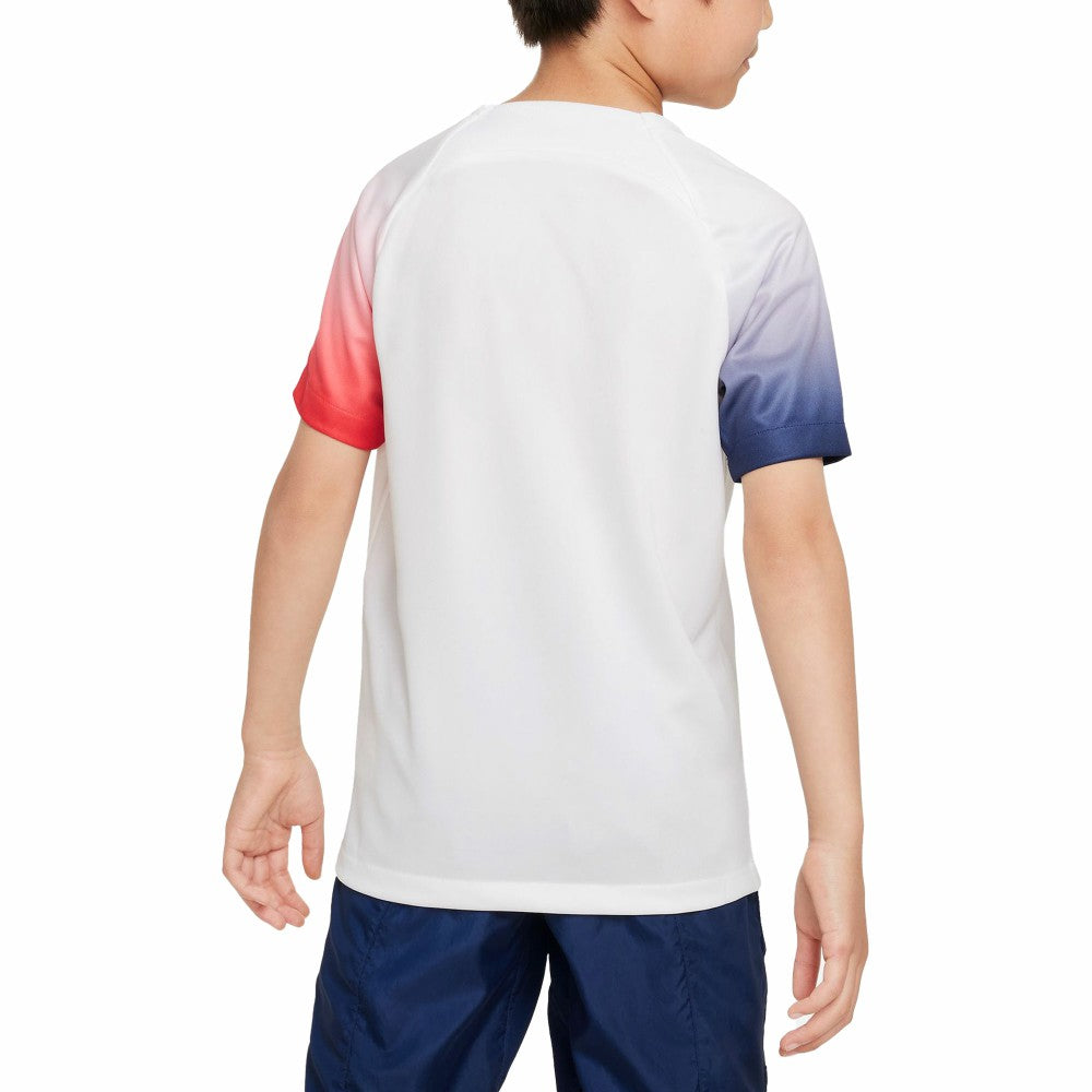 Paris Saint-Germain Youth 2023/24 Academy Pro Performance Pre-Match Top - White | Nike on sale