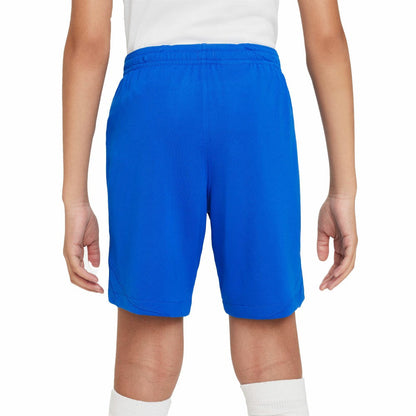 Barcelona Youth 2023/24 Away Stadium Performance Shorts - Royal | Nike shop