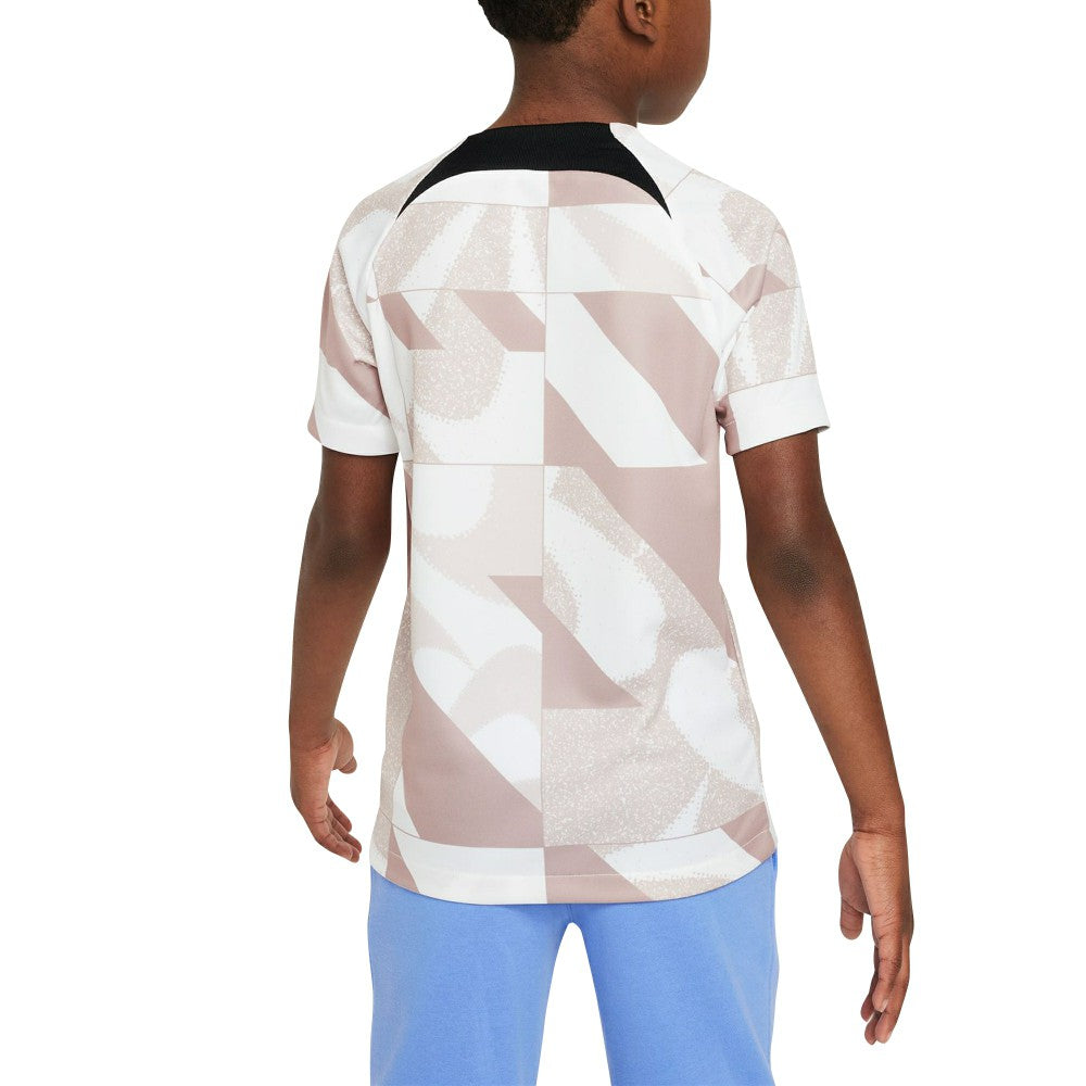 Tottenham Hotspur Youth 2023/24 Academy Pro Performance Pre-Match Top - White | Nike online