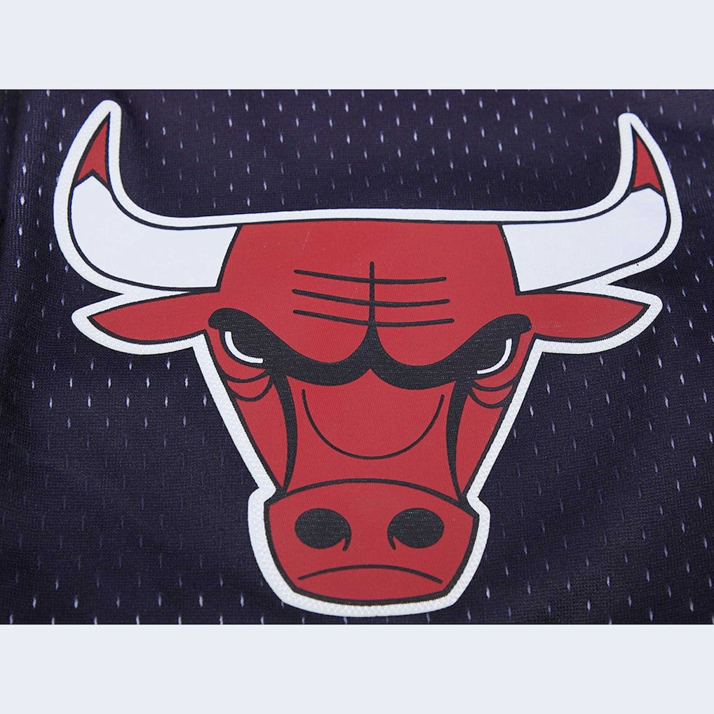 Chicago Bulls Pro Standard Ombre Mesh Shorts - Black/Red online
